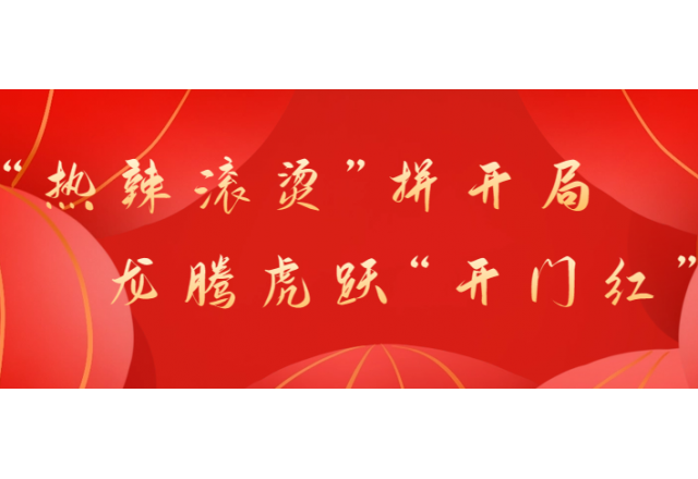 首季开门红②  新风光助力中国康富古浪300MW光伏治沙项目顺利并网